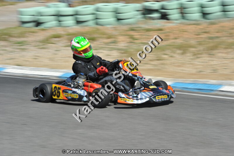 DSC (231).JPG